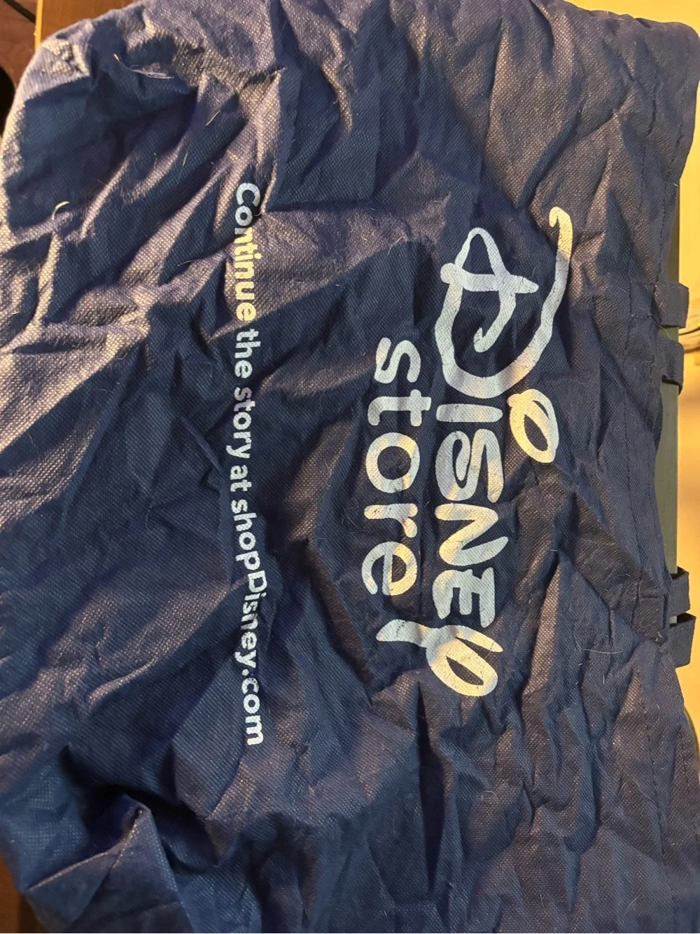 Disney official parks